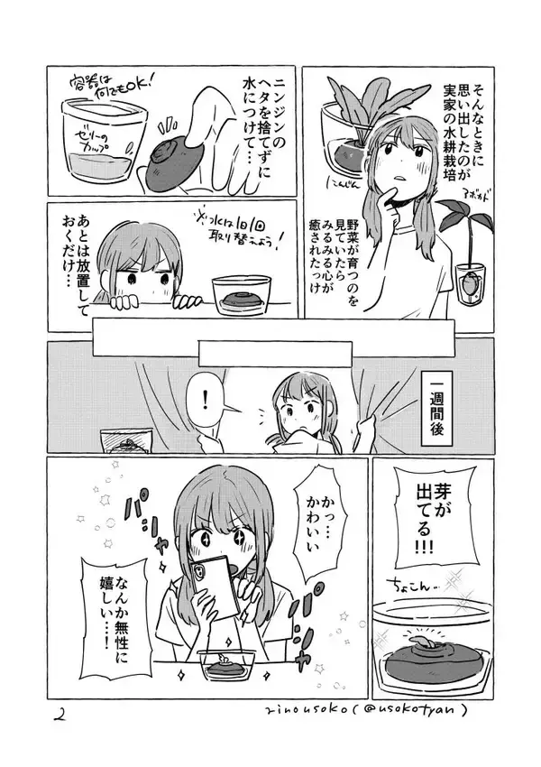 「「お金をかけずに癒されたい…」ニンジンのヘタを捨てずに水に浸けた結果？【漫画】」の画像