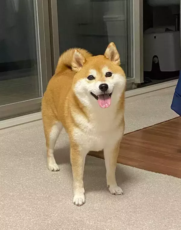 「体調を崩し、寝込んでいると…　布団の横には？「尊い」「朝から爆泣き」」の画像