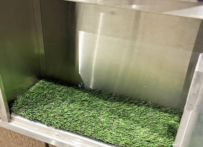 ダイソーの『人工芝』　庭で使うではなく…？まさかの活用法に「買って損なし！」