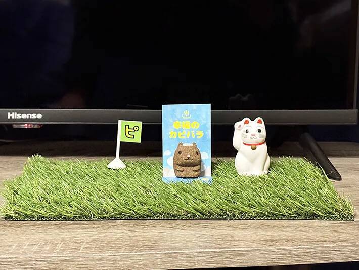 ダイソーの『人工芝』　庭で使うではなく…？まさかの活用法に「買って損なし！」