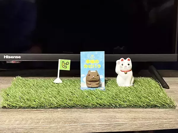 「ダイソーの『人工芝』　庭で使うではなく…？まさかの活用法に「買って損なし！」」の画像