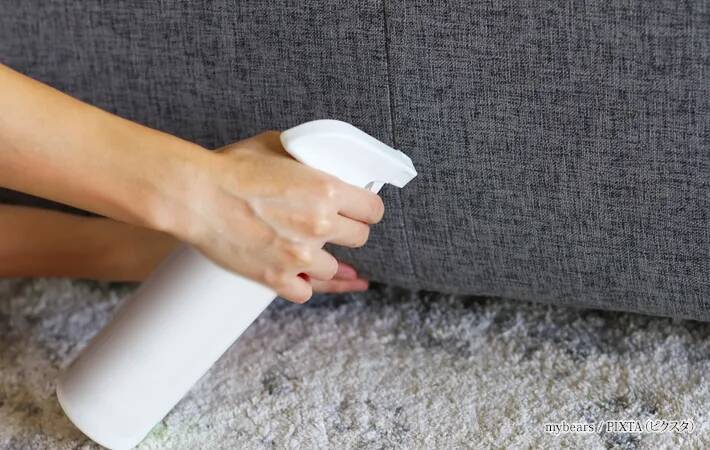 見えない敵『ダニ』が増殖？　梅雨入り前に絶対やっておくべき3つの新常識