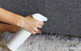 「見えない敵『ダニ』が増殖？　梅雨入り前に絶対やっておくべき3つの新常識」の画像4