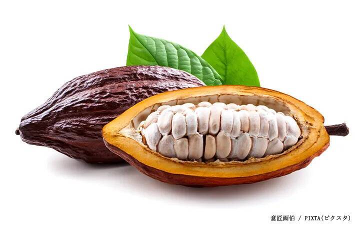 スーパーで買える身近な食材　まさかの『育ち方』に「そんな姿をしていたのか」「すごい見た目…」