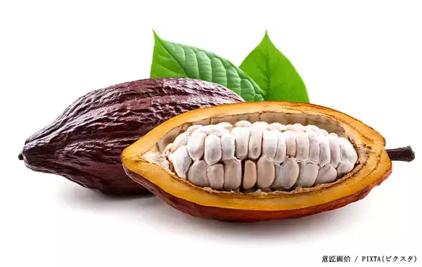 「スーパーで買える身近な食材　まさかの『育ち方』に「そんな姿をしていたのか」「すごい見た目…」」の画像