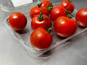 ミニトマト、買ったパックのままは傷みやすい？　長持ちさせる正しい保存方法