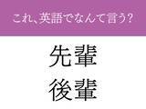 「「職場の先輩・後輩」←英語でなんて言う？　日本人の多くが知らない日常英語」の画像1