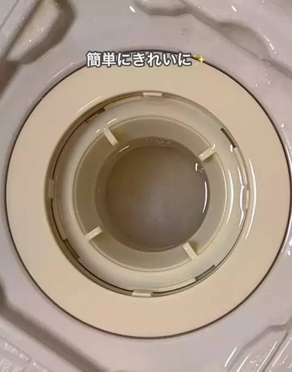 「水筒の茶渋はこう落とす！　ズボラさん直伝の方法に「放置だけ？」「簡単」」の画像