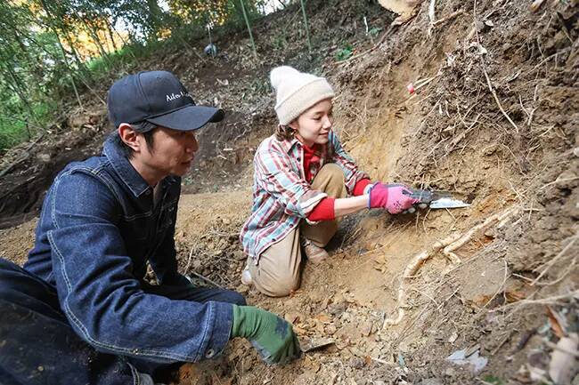 宮﨑あおいが『相葉マナブSP』に登場！　相葉雅紀と過去最大自然薯に挑む