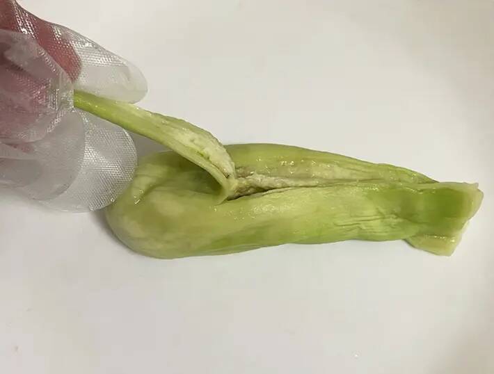 全部レンチンで作れます！　夏野菜を使った『煮びたし』レシピに「もっと作ればよかった」