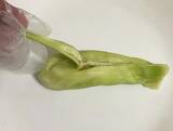 「全部レンチンで作れます！　夏野菜を使った『煮びたし』レシピに「もっと作ればよかった」」の画像5