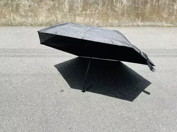 「770円とは思えないクオリティ」　ダイソーの晴雨兼用傘が優秀すぎる！