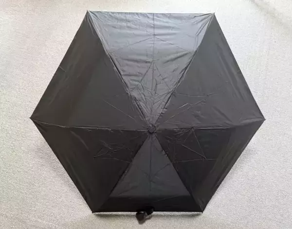 「「770円とは思えないクオリティ」　ダイソーの晴雨兼用傘が優秀すぎる！」の画像
