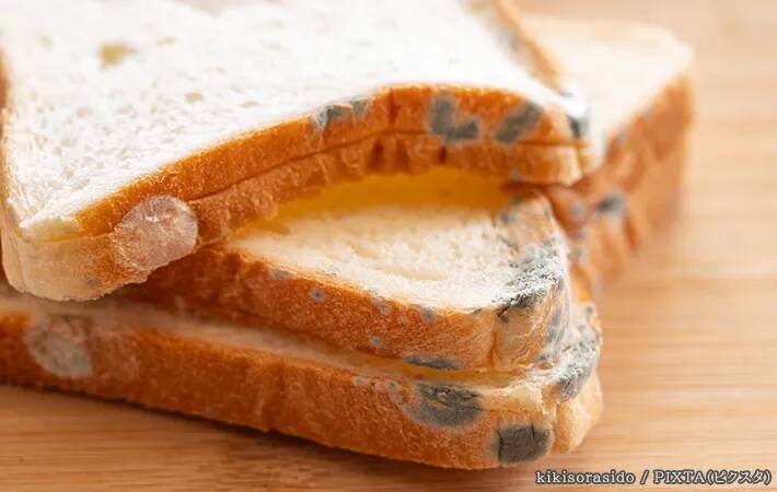 食パンを冷蔵庫に入れるのはNG？　パンの専門家が教える正しい保存方法