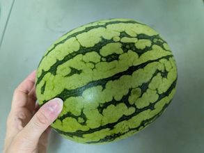 スイカの皮、まだ捨ててる？　まさかの食べ方に目からウロコ！【萩原農場のレシピ】