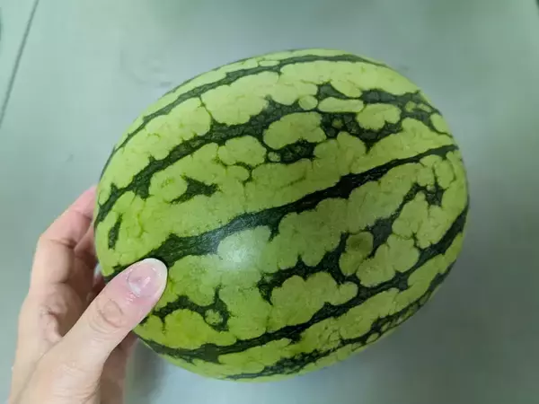 スイカの皮、まだ捨ててる？　まさかの食べ方に目からウロコ！【萩原農場のレシピ】