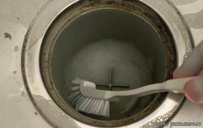 排水口のヌメリやニオイ、氷で防げる？　専門家に掃除と予防のコツを聞いた