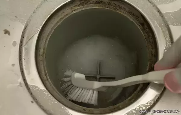 「排水口のヌメリやニオイ、氷で防げる？　専門家に掃除と予防のコツを聞いた」の画像
