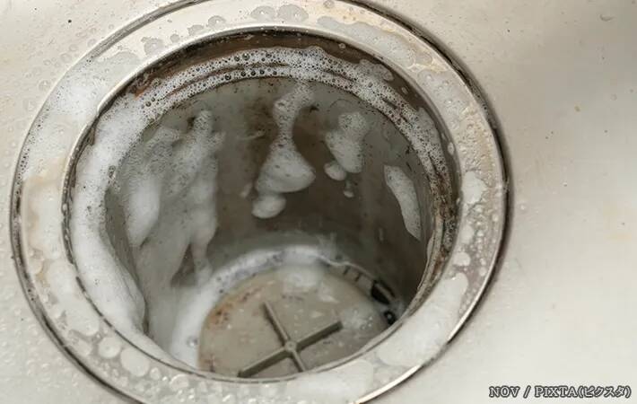 排水口のヌメリやニオイ、氷で防げる？　専門家に掃除と予防のコツを聞いた