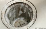 「排水口のヌメリやニオイ、氷で防げる？　専門家に掃除と予防のコツを聞いた」の画像4