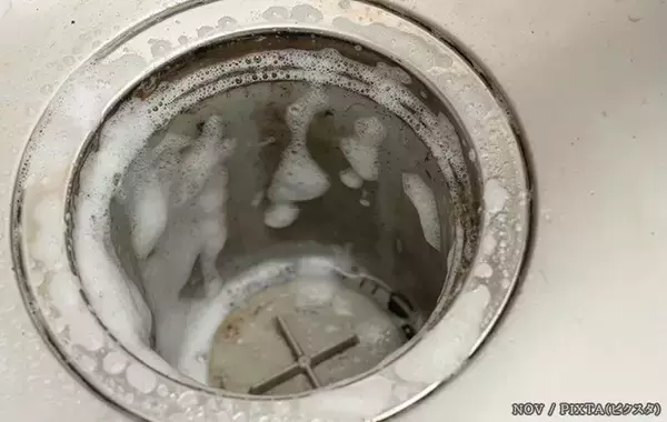 「排水口のヌメリやニオイ、氷で防げる？　専門家に掃除と予防のコツを聞いた」の画像