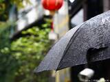 「水を弾かない傘、復活させられる？　企業に聞いたメンテナンス方法」の画像1