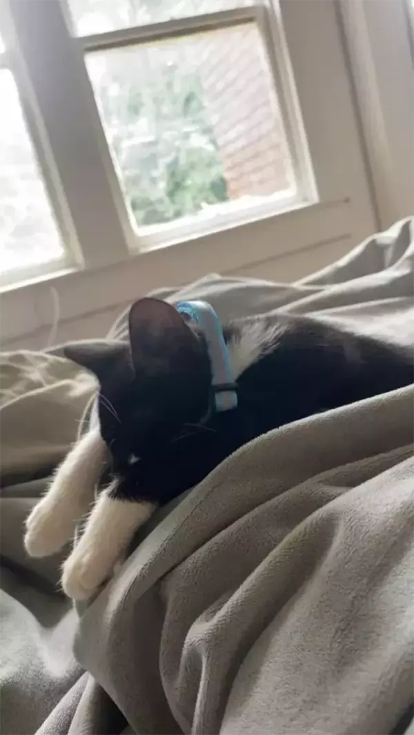 「「一週間前から毎日仕事に遅刻してしまいます」　理由を明かす『3枚の写真』が共感しかない」の画像