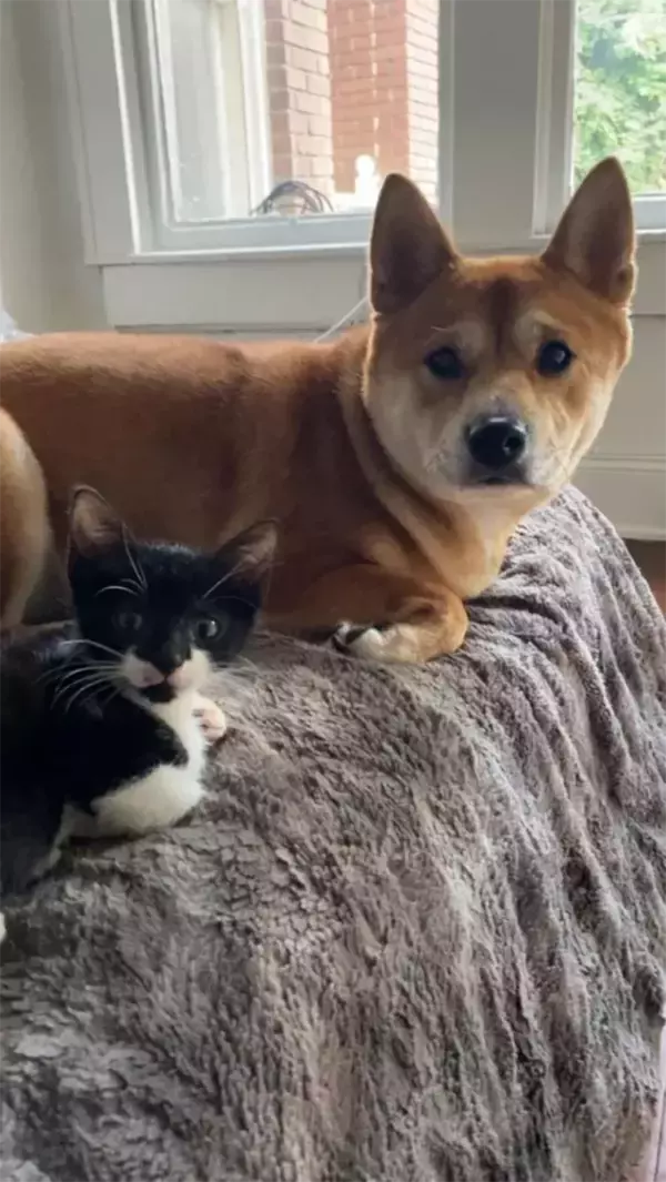 「「一週間前から毎日仕事に遅刻してしまいます」　理由を明かす『3枚の写真』が共感しかない」の画像