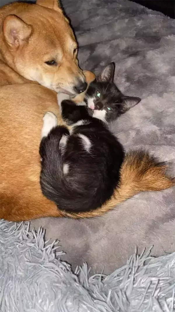 「「一週間前から毎日仕事に遅刻してしまいます」　理由を明かす『3枚の写真』が共感しかない」の画像