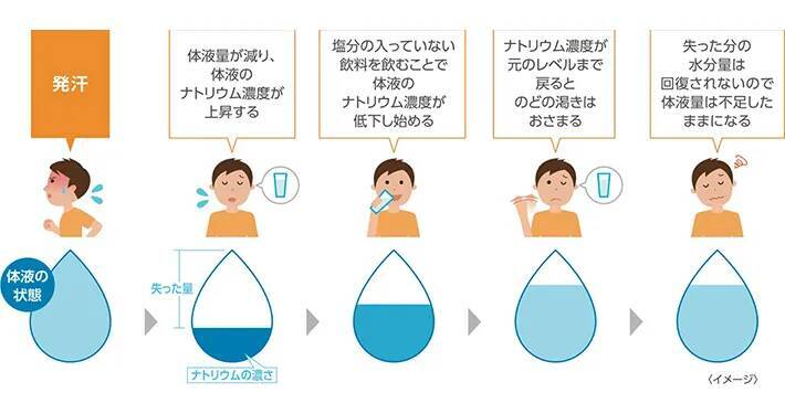 『ポカリスエット』は薄めて飲んでもOK？ダメ？　大塚製薬に聞いてみた