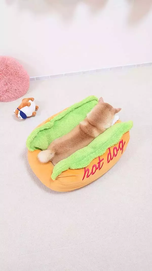 「クッションに挟まった柴犬　ある『食べ物』にそっくりで…？「本物だ！」」の画像