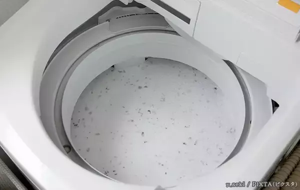 「毎日使う洗濯機、『黒カビ予防』に効果があるのは？　パナソニックに聞いた」の画像