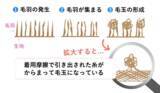 「「靴下の毛玉を防ぎたい…」　グンゼが教える簡単なポイント【洗濯のコツ】」の画像2