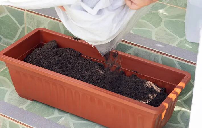 家庭菜園の水やり、量以外にもポイントがあった！　プロが教える『正解』は