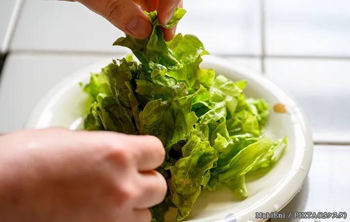 レタスを食べる時、手でちぎる？包丁で切る？　JA茨城むつみに聞いた『正解の食べ方』とは