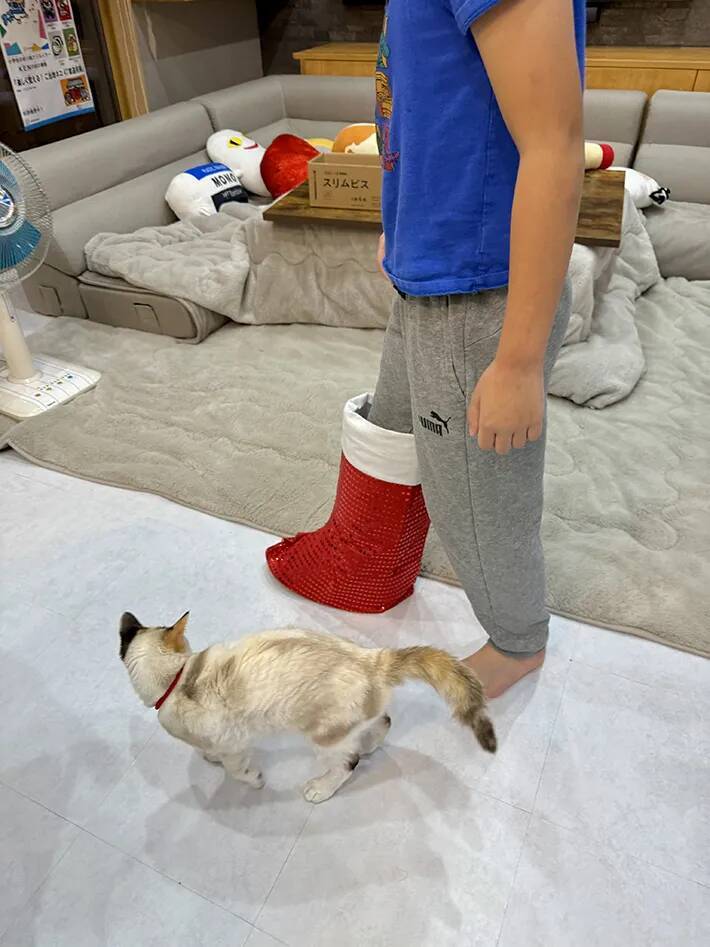 「大丈夫、ケガしていないよ」　９歳の息子につきまとう猫　理由に「かわいすぎ」「安心して」