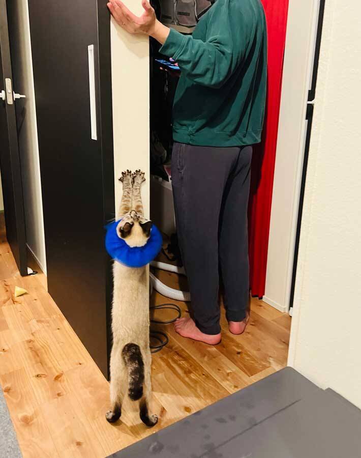 四十肩のためストレッチをする夫　妻のテンションが上がった瞬間に「かわいい」の声