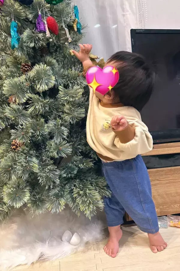 「下半分は飾りがないクリスマスツリー　理由に「笑った」「我が家も同じです」」の画像