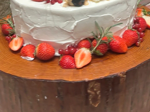 結婚式をした飼い主　「どの写真にも、愛犬が写っていてほしい」と考えた結果が…？「すごすぎる！」