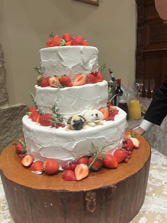 結婚式をした飼い主　「どの写真にも、愛犬が写っていてほしい」と考えた結果が…？「すごすぎる！」