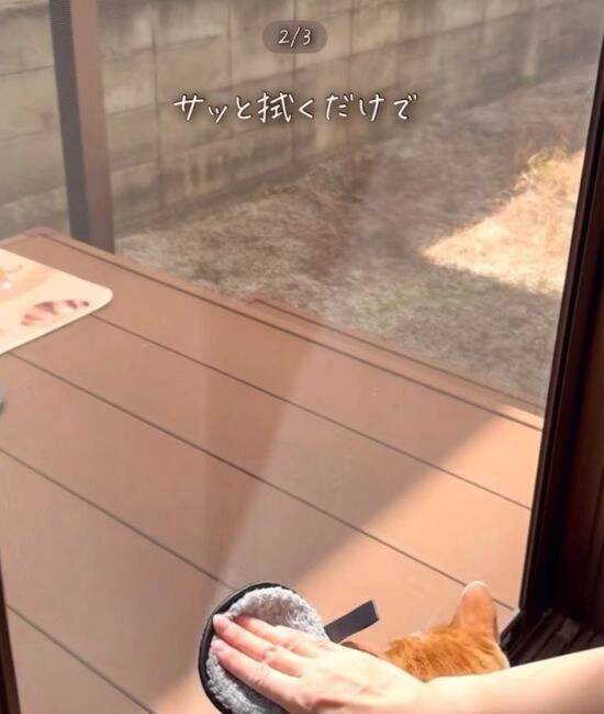 ダイソー『メイク落としパフ』の思わぬ活用法に「この考えはなかった！」