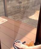 「ダイソー『メイク落としパフ』の思わぬ活用法に「この考えはなかった！」」の画像7