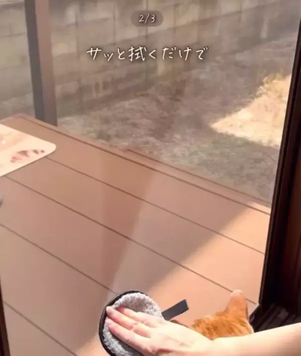 「ダイソー『メイク落としパフ』の思わぬ活用法に「この考えはなかった！」」の画像