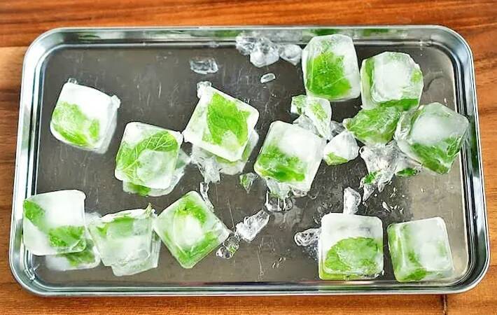 材料2つだけ！　管理栄養士が氷の中に入れたのは…「暑い日にピッタリ」「アイスティーに合う」
