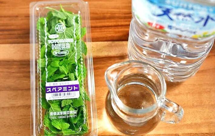 材料2つだけ！　管理栄養士が氷の中に入れたのは…「暑い日にピッタリ」「アイスティーに合う」