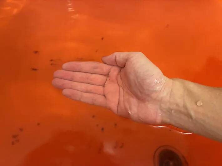 入浴剤でアイスを完全再現！　ローソン限定『スイカバー』で夏にひんやり
