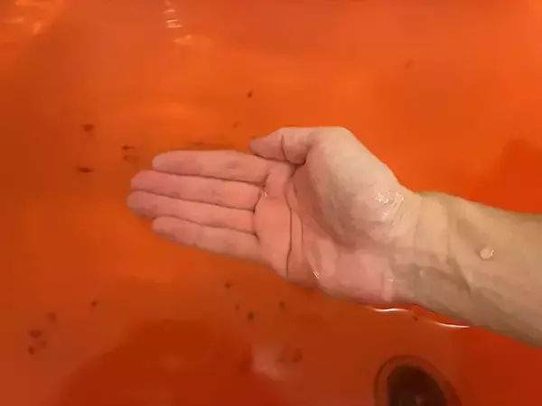 「入浴剤でアイスを完全再現！　ローソン限定『スイカバー』で夏にひんやり」の画像