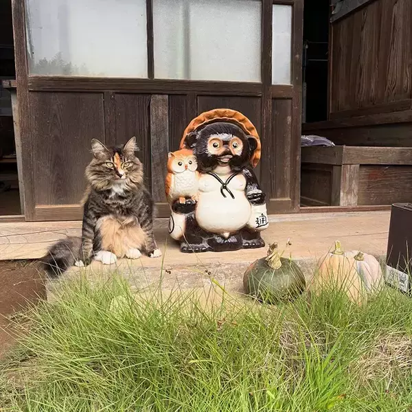「縁側でくつろぐ猫　隣にいたものに「そっくりすぎる！」「座り方までかわいい」」の画像
