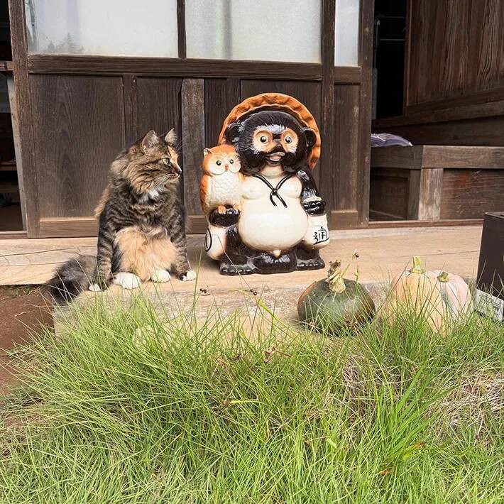 縁側でくつろぐ猫　隣にいたものに「そっくりすぎる！」「座り方までかわいい」