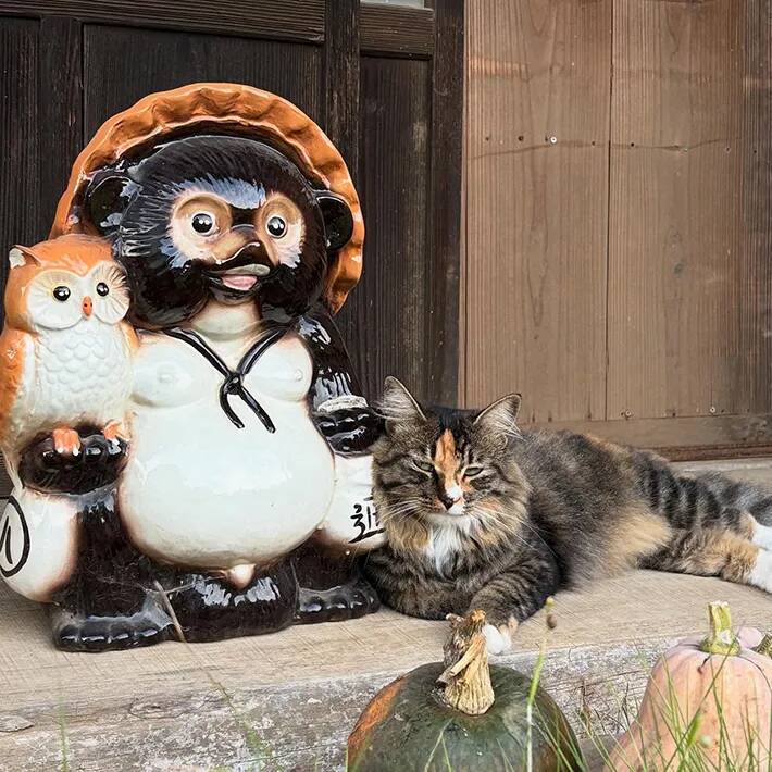 縁側でくつろぐ猫　隣にいたものに「そっくりすぎる！」「座り方までかわいい」